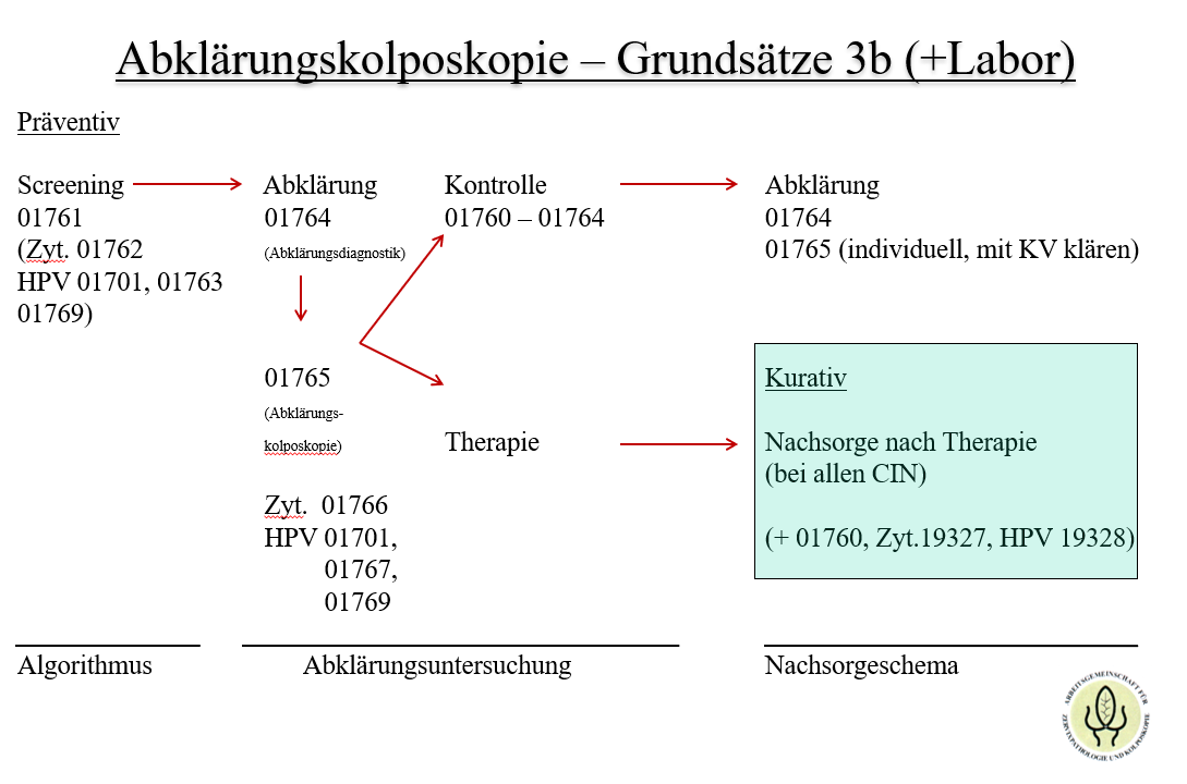 Abklärungskoloposkopie Grundsätze 3b und Labor